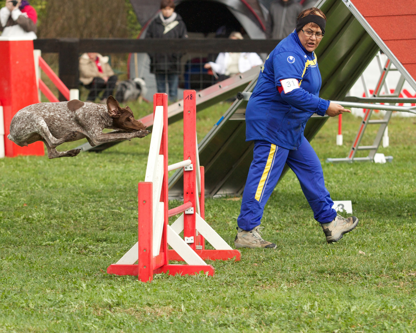 Saut d'obstacle tout en action