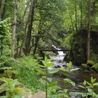 Saut du Bouchot