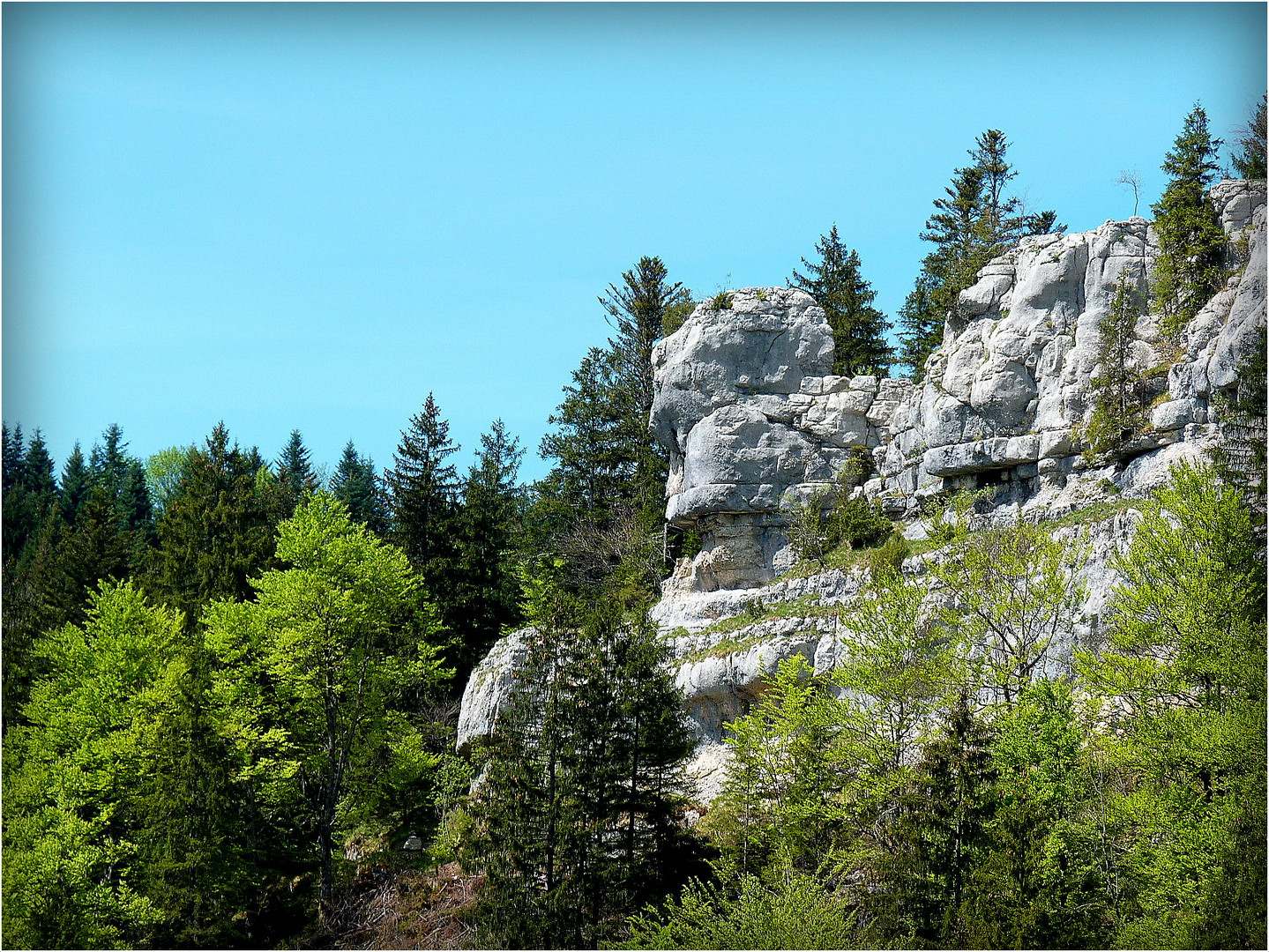 SAUT - DU - DOUBS - 13-