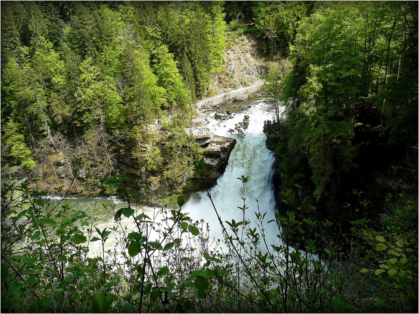 SAUT - DU - DOUBS -16 -