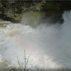 SAUT - DU - DOUBS -17 -