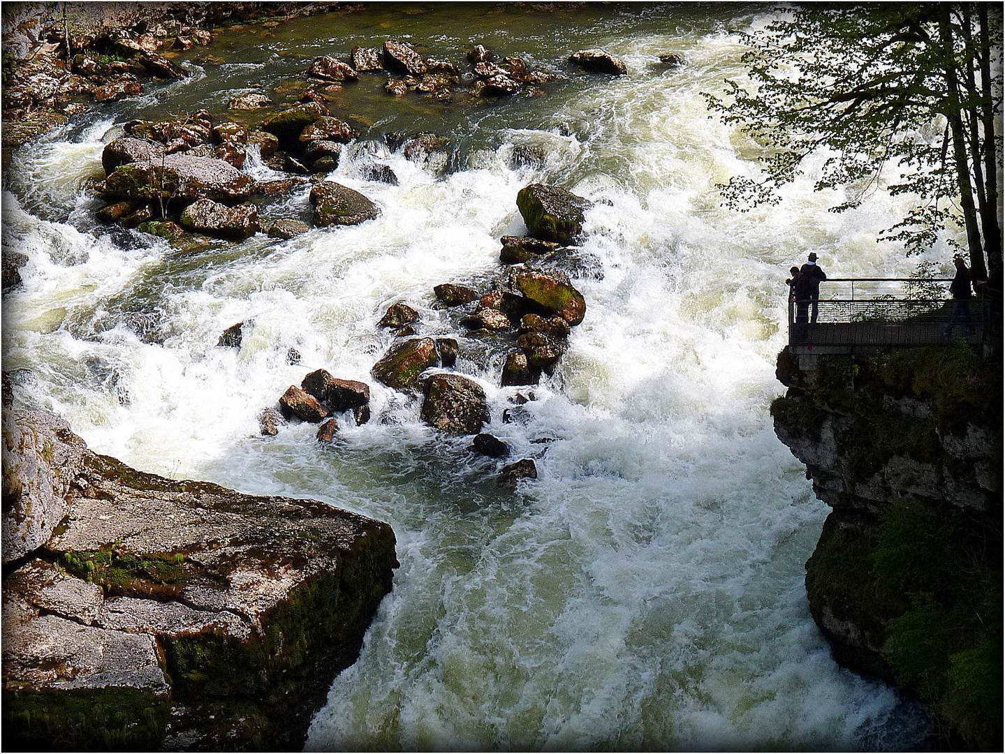 SAUT - DU - DOUBS - 21 -