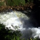 Saut du Doubs (3)