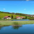 SAUT - DU - DOUBS - 4 -