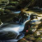 Saut du Doubs Cote France