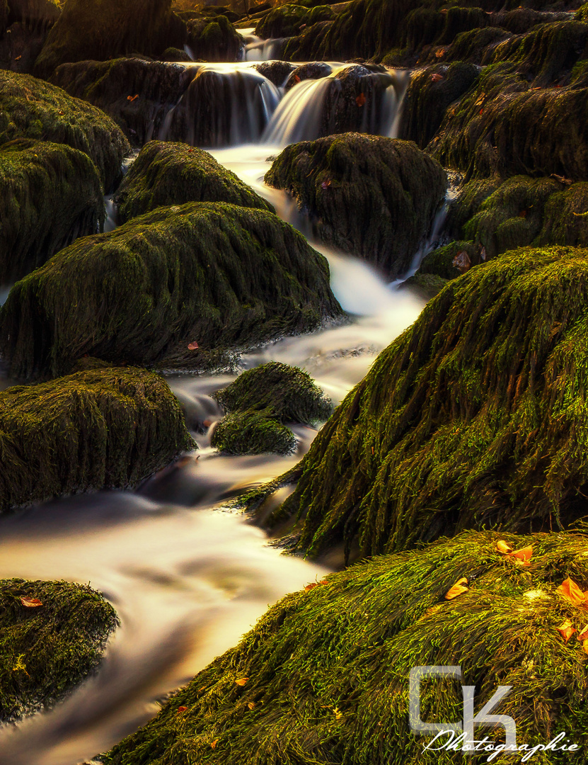 Saut du Doubs II