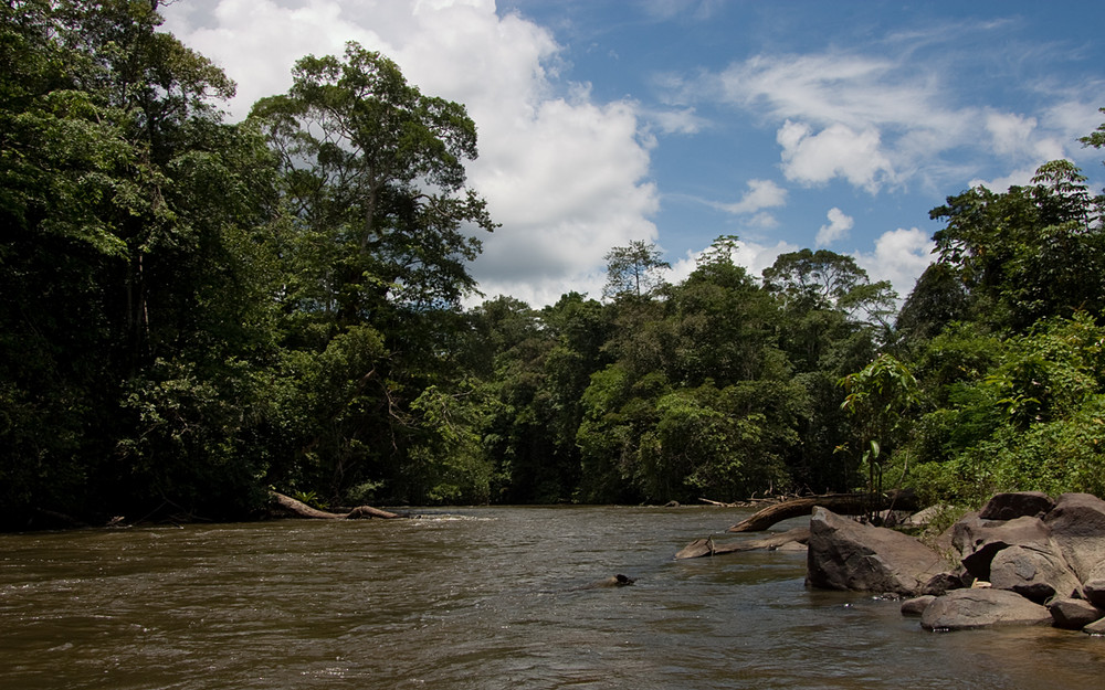 Saut Pararé ( Arataï ), Franz. Guyana