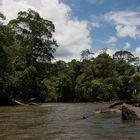 Saut Pararé ( Arataï ), Franz. Guyana