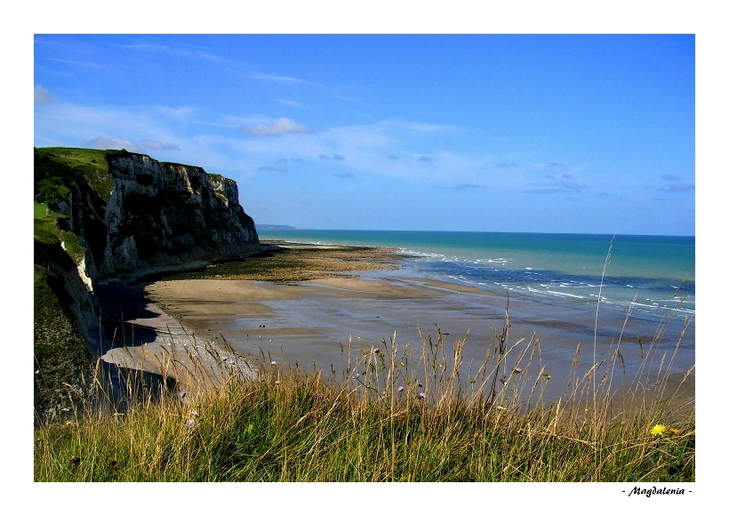 Sauvage et grandiose Normandie