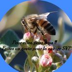 ***Sauvons les abeilles***