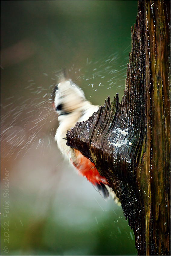 Sauwetter, brrrrrr.......