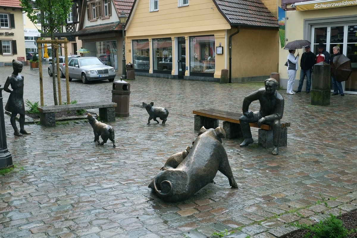 Sauwetter im Schwarzwald