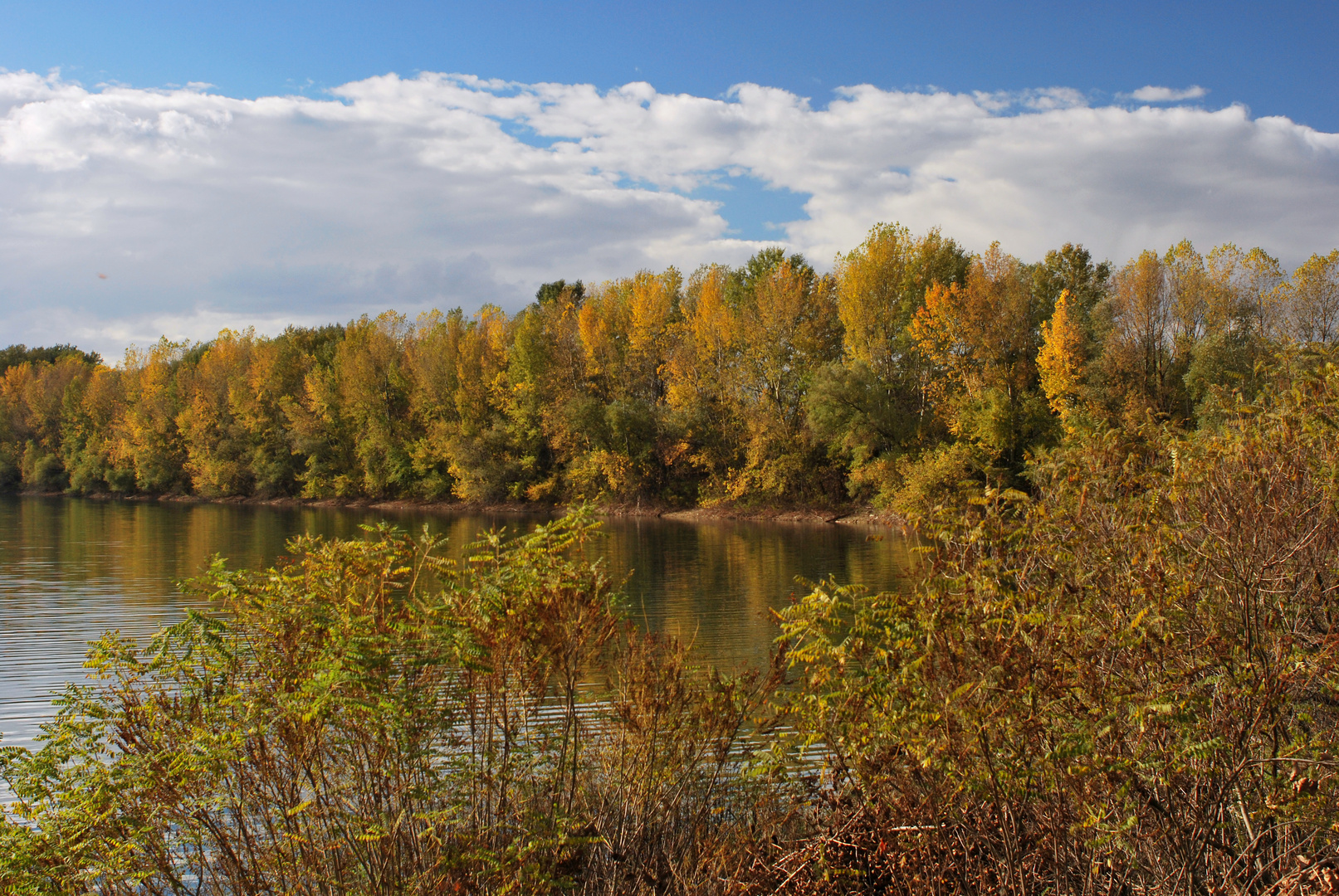 Sava Beograd