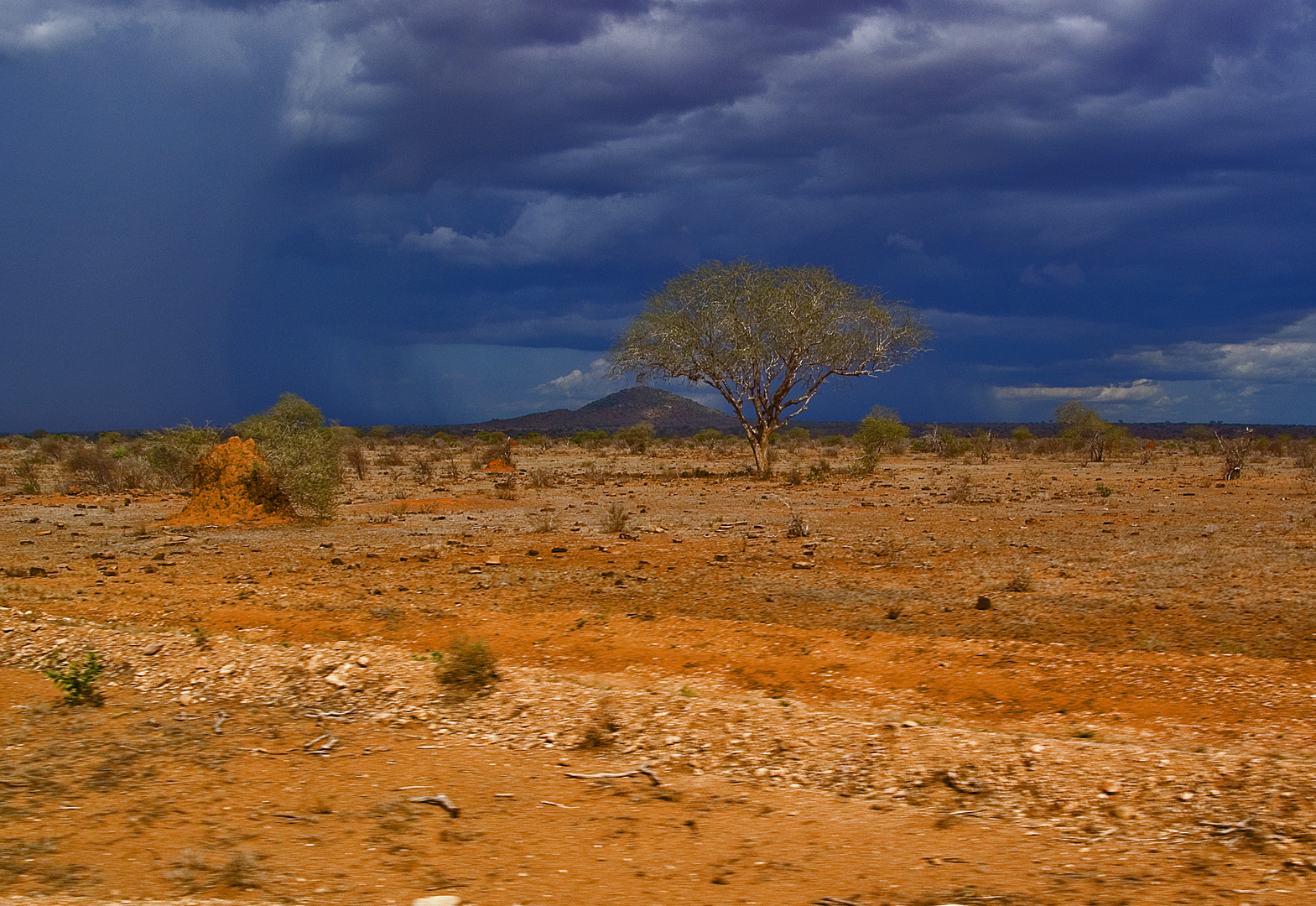 Savana, Contrasti terra cielo