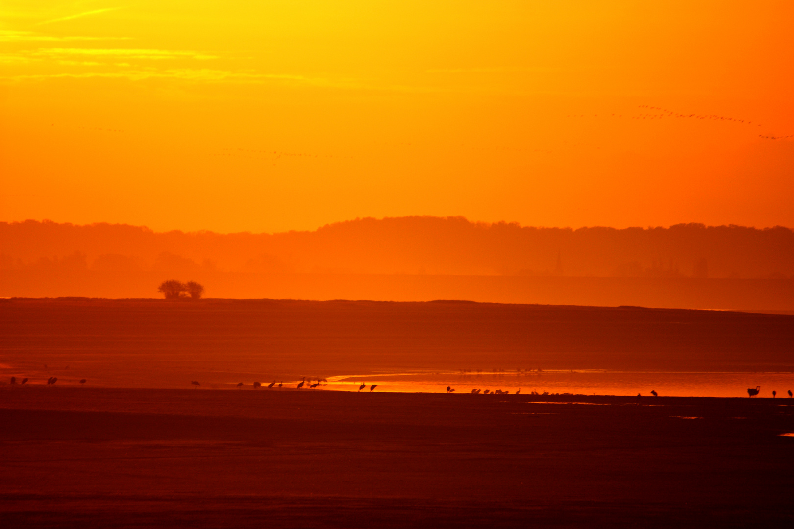 Savane champenoise