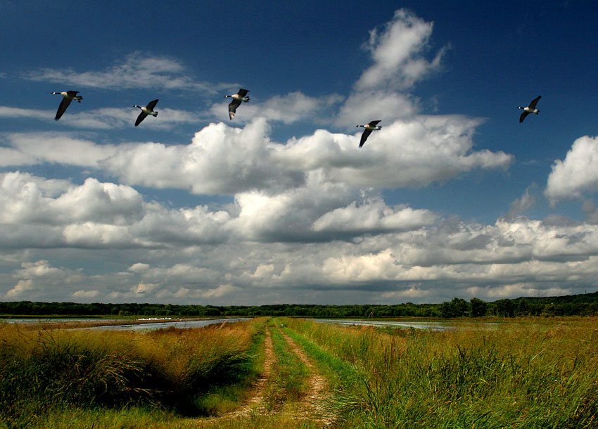 Savanna Wetlands