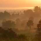 Savannah at sunrise