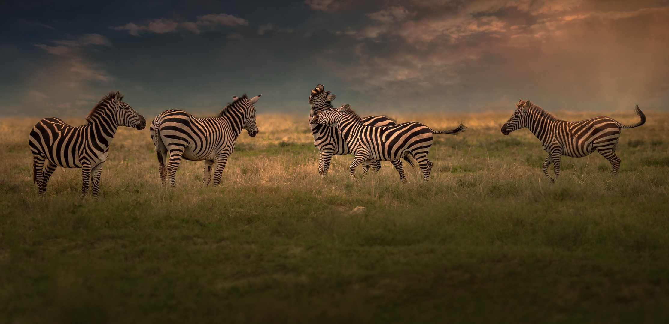 Savanne. Foto & Bild | natur, landschaft, afrika Bilder auf fotocommunity