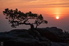 savanne in afrika...oder lilienstein am morgen