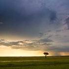 Savanne in Kenia - die Regenwolke