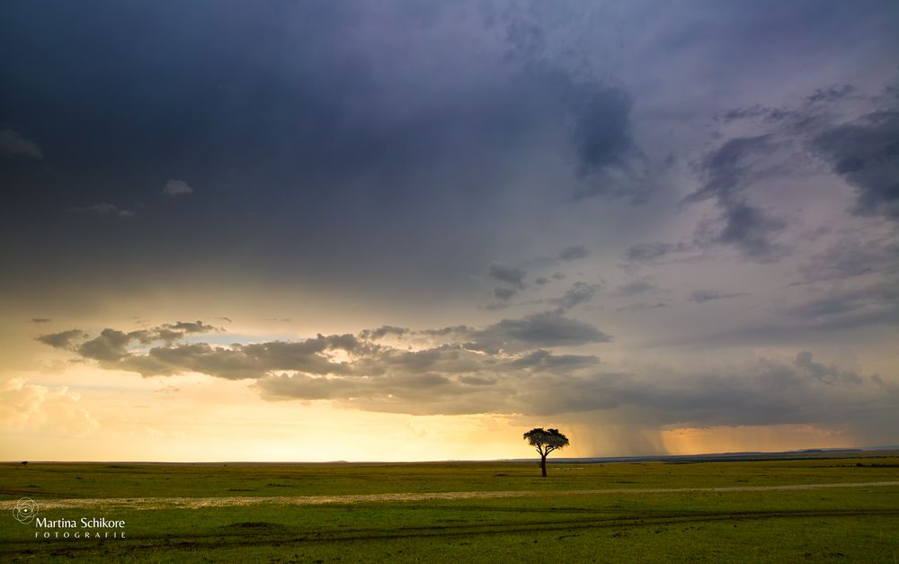 Savanne in Kenia - die Regenwolke