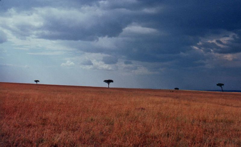 Savannenlandschaft