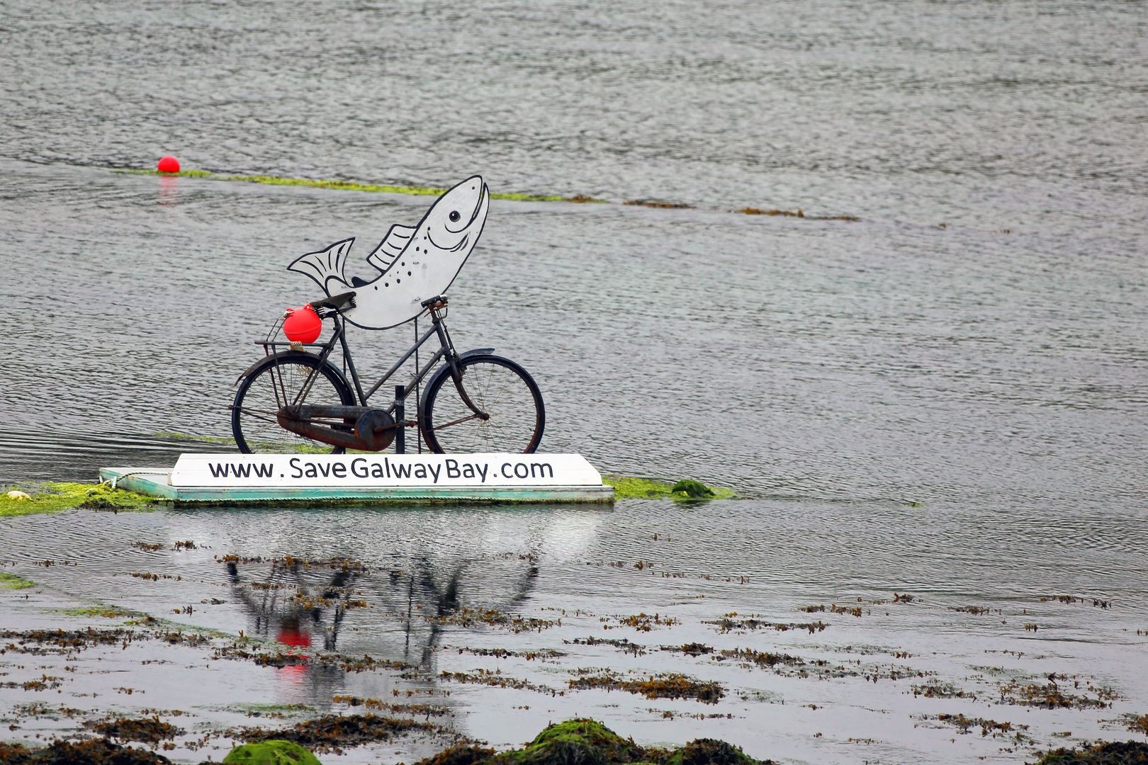 Save Galway Bay