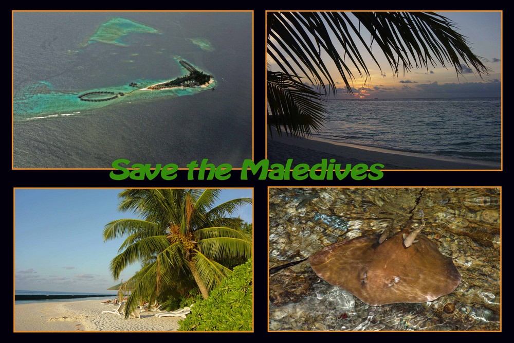 Save the Maledives