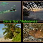 Save the Maledives