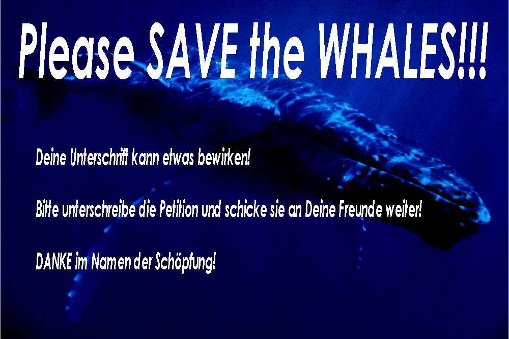 SAVE the WHALES!
