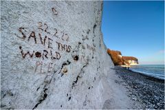 SAVE THIS WORLD
