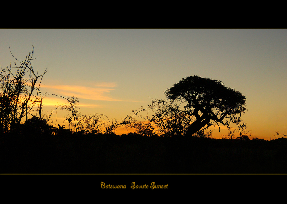 Savute Sunset