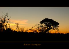 Savute Sunset