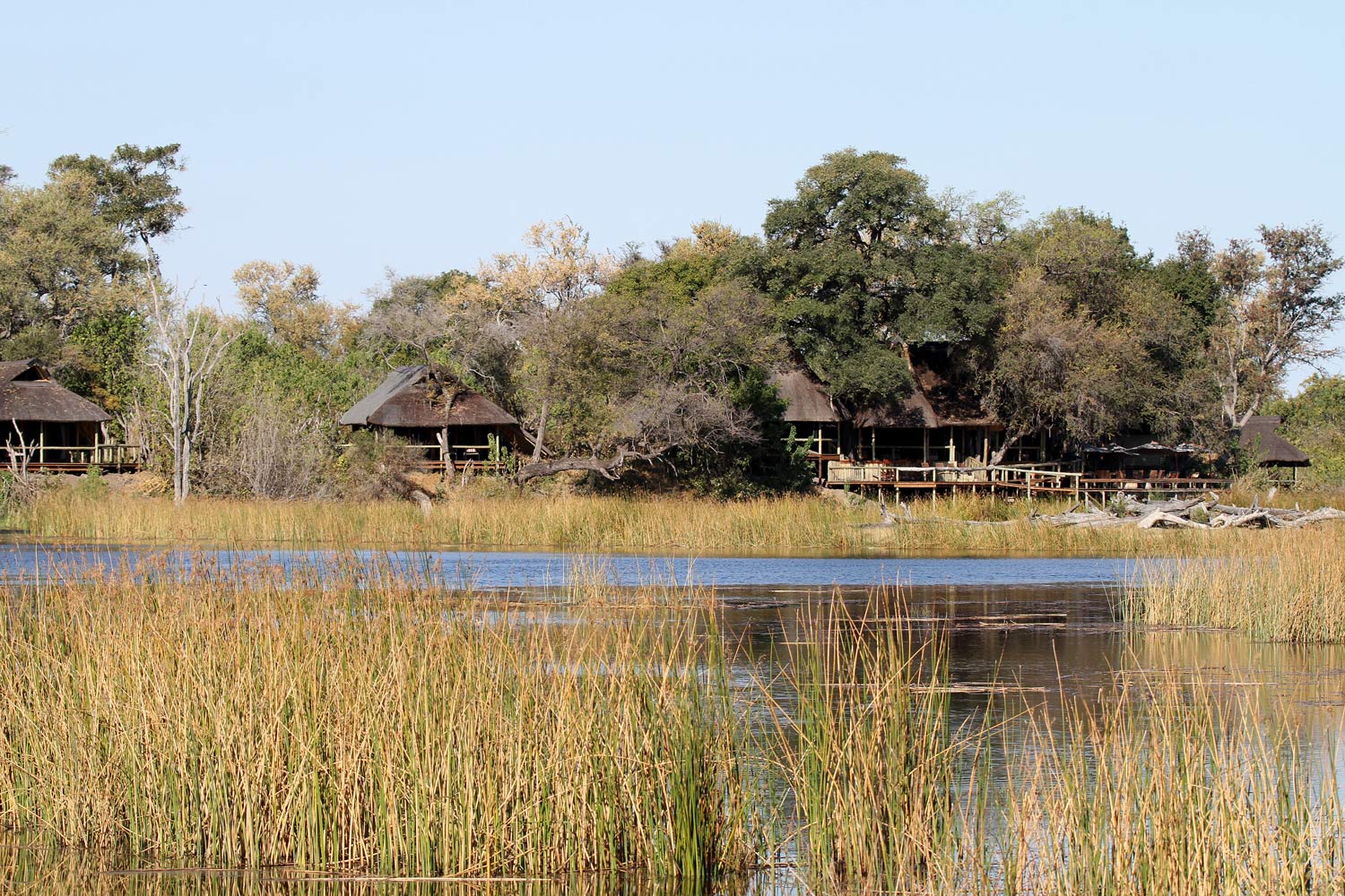 Savuti Camp in Botswana