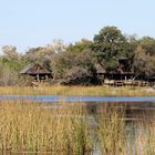 Savuti Camp in Botswana