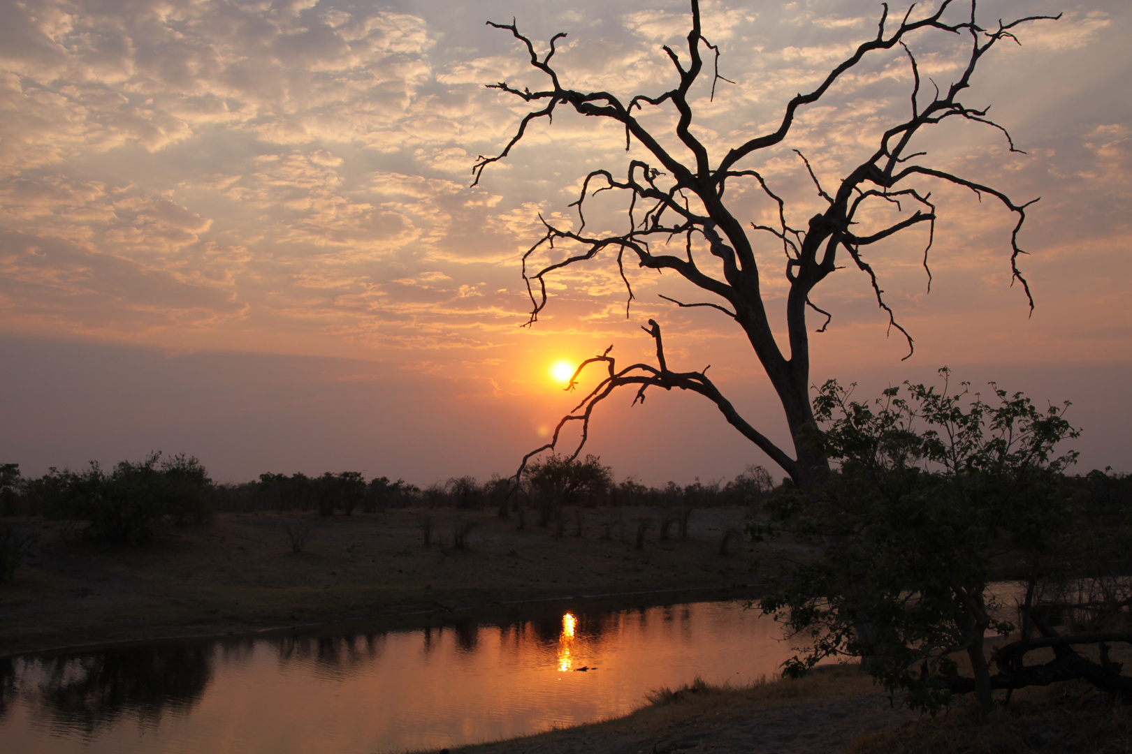 savuti canal