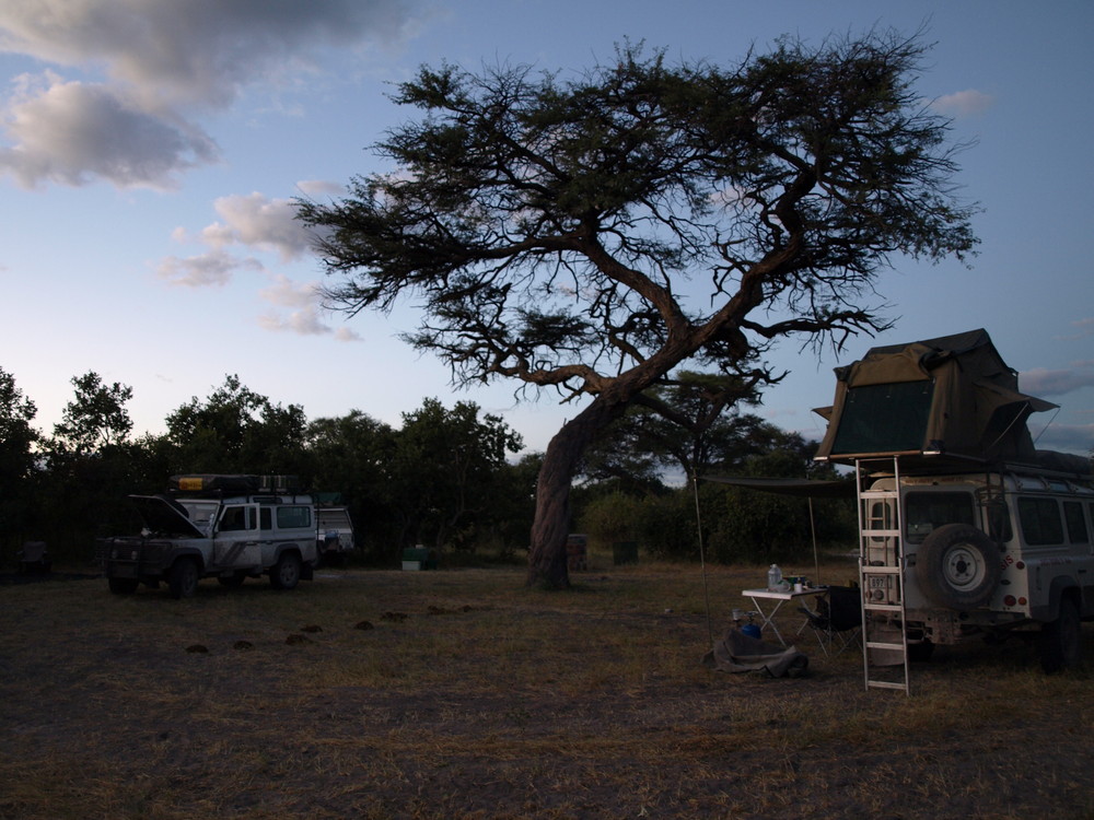 Savuti South Camp - mein Lieblingsplatz