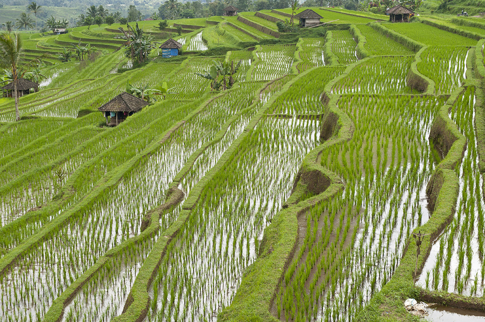 Sawa Foto & Bild landschaft, natur Bilder auf