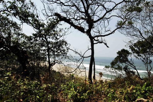 sawarna beach from far