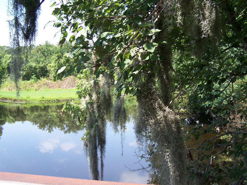 Sawgrass Lake Park FL