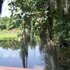 Sawgrass Lake Park FL