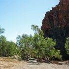 * Sawpit Gorge *