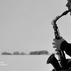 Sax in the snow
