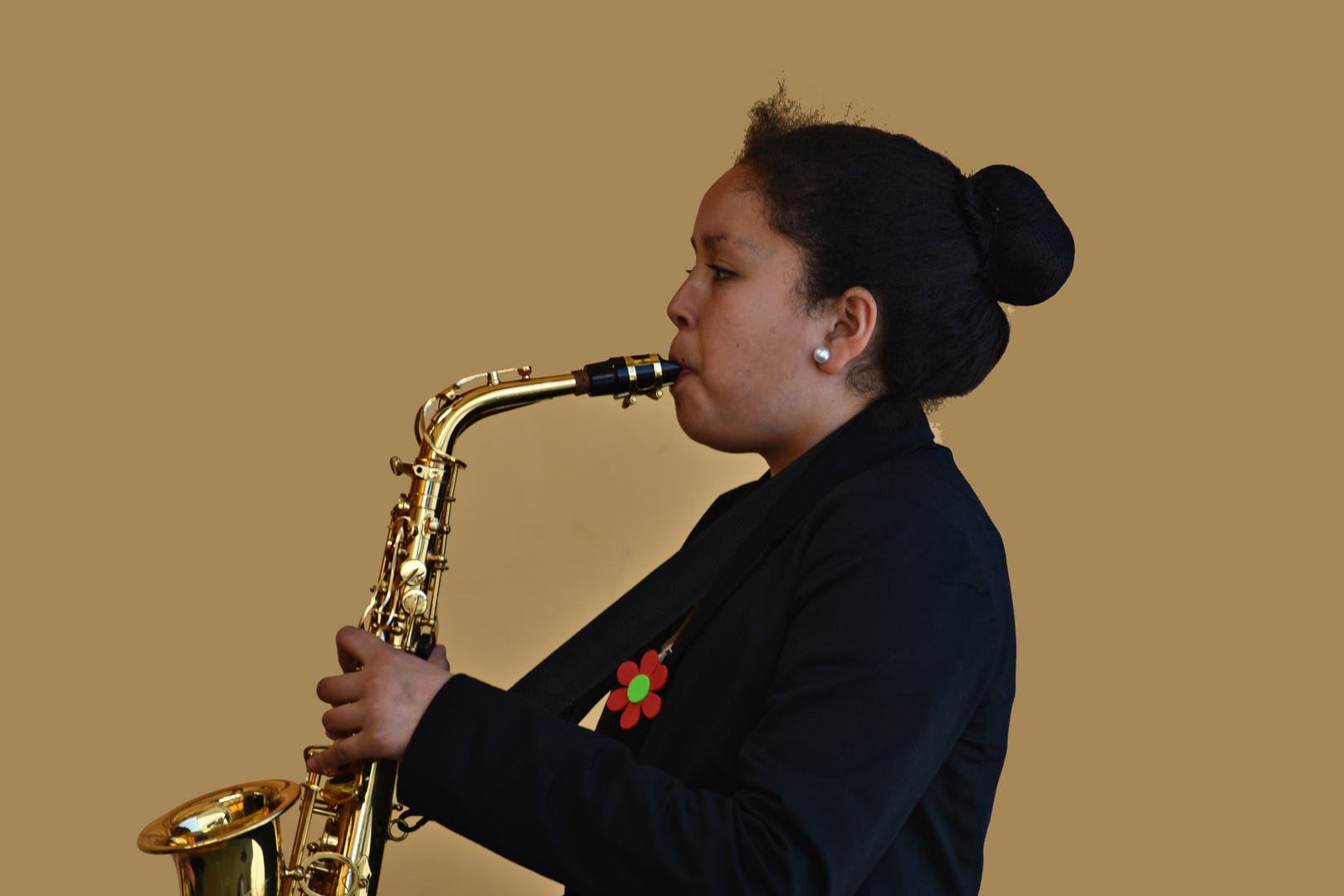 saxofonista en Llanquihue