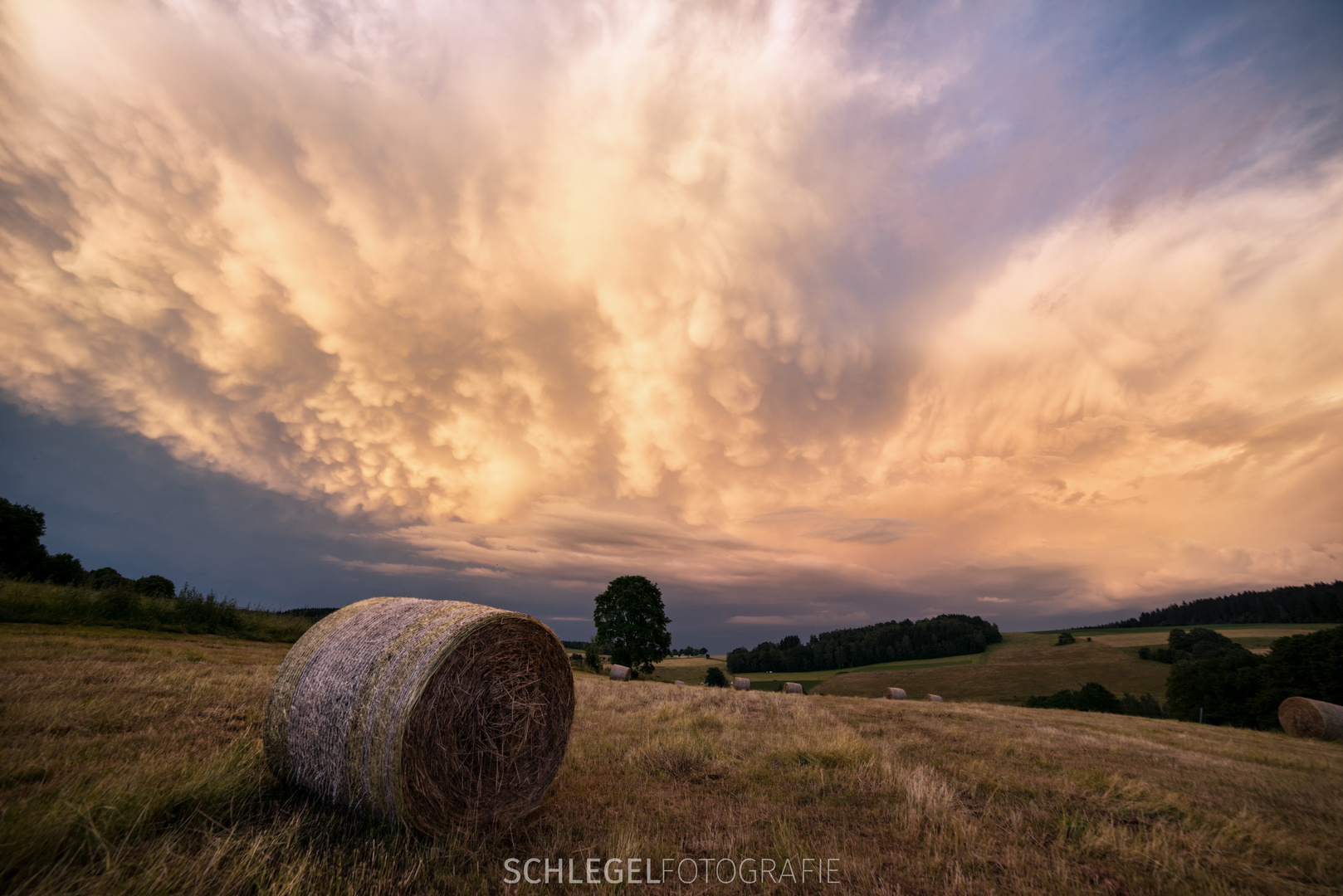 SAXONY MAMMATUSCLOUD