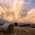 SAXONY MAMMATUSCLOUD