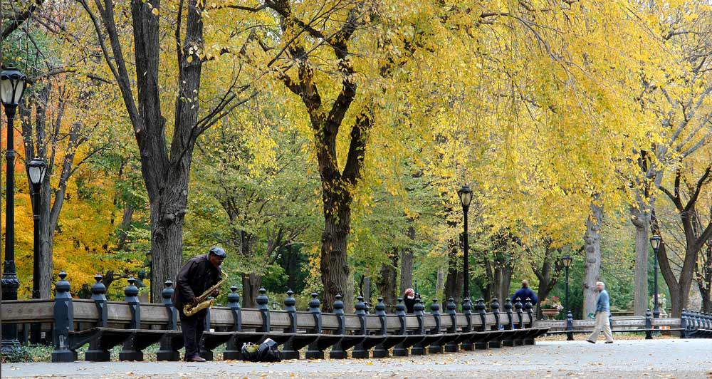 Saxophone in Central Park