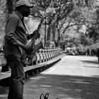 Saxophonist - Central Park