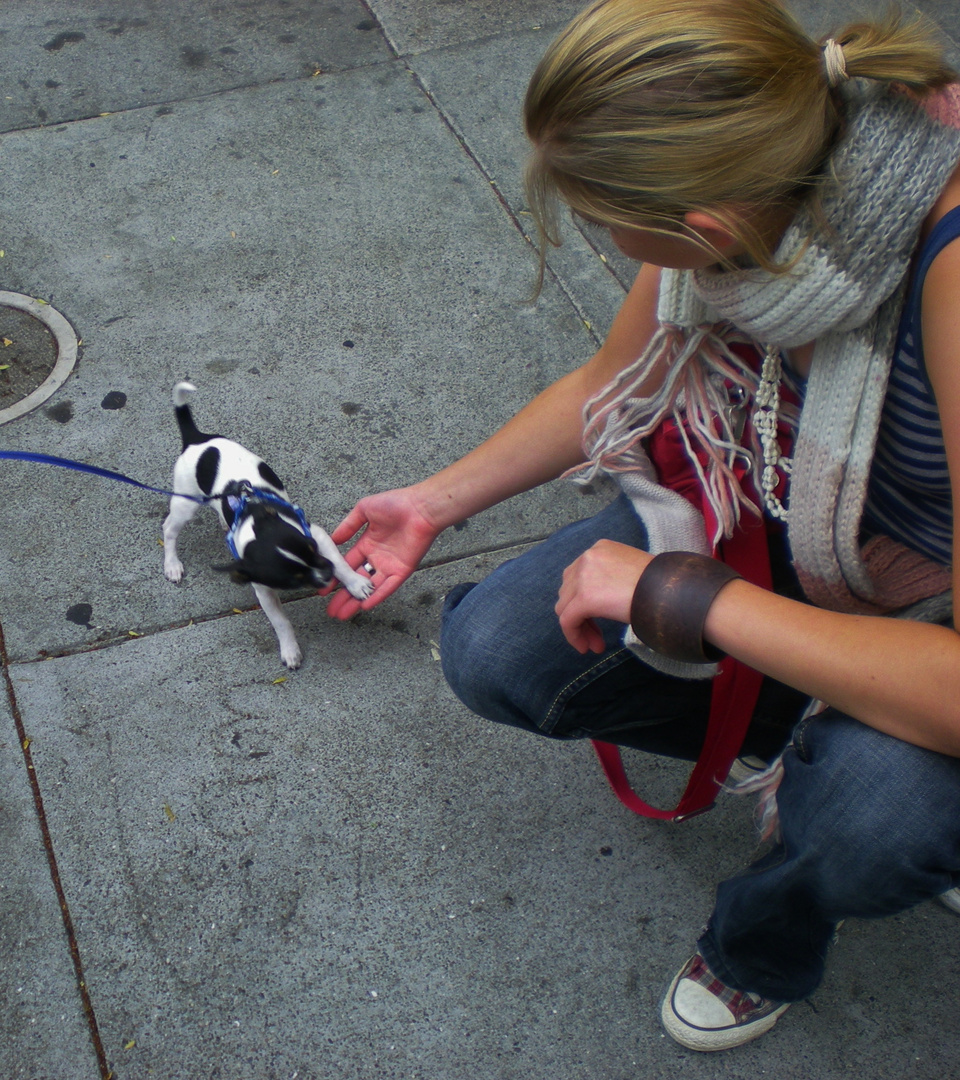 saying hi to the smallest dog