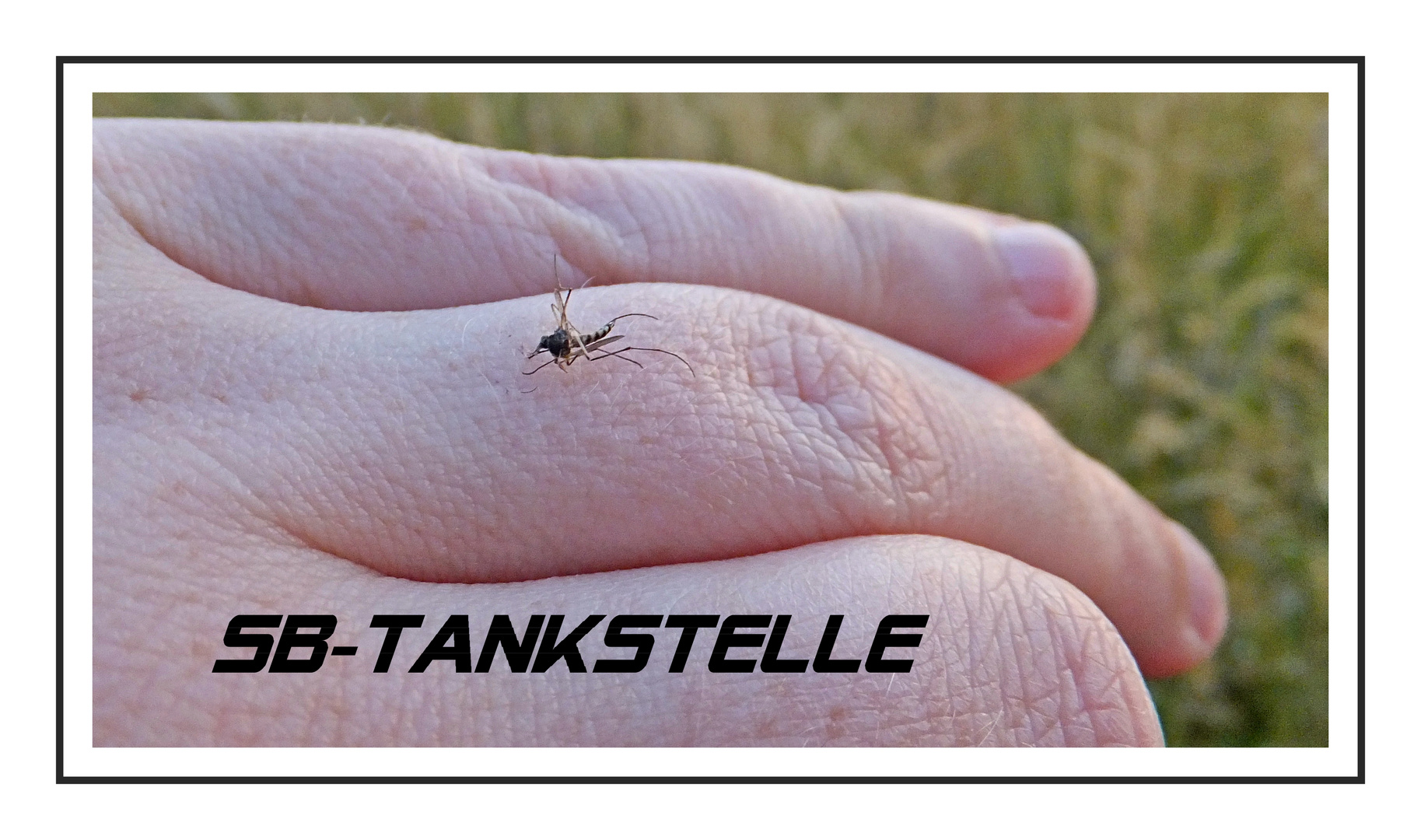 SB-Tankstelle